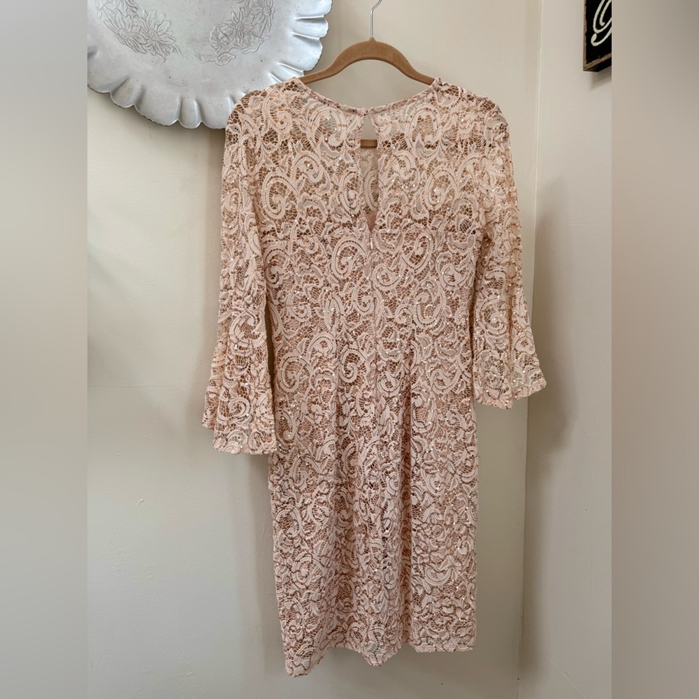Lace Overlay Bell-Sleeve Dress in Blush